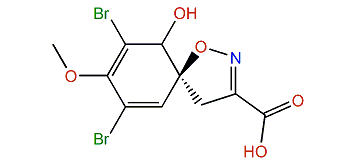 (5R,6S)-7,9-Dibromo-10-hydroxy-8-methoxy-1-oxa-2-azaspiro[4,5]deca-2,6,8-triene-3-carboxylic acid
